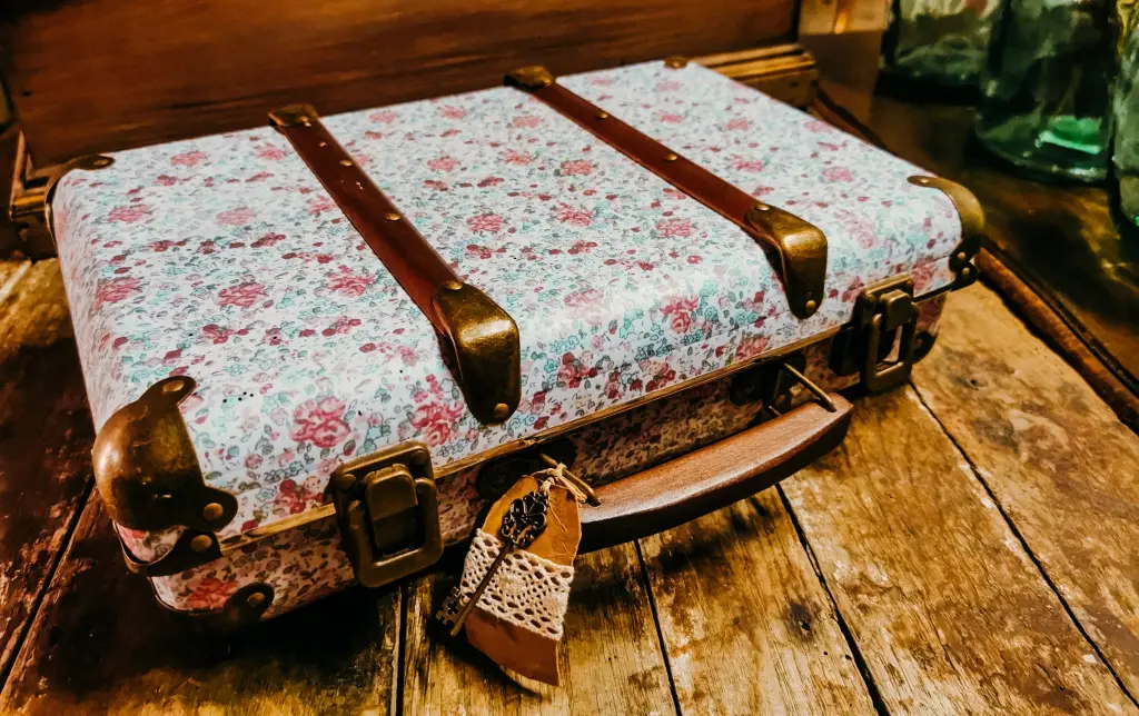 Valise Liberty